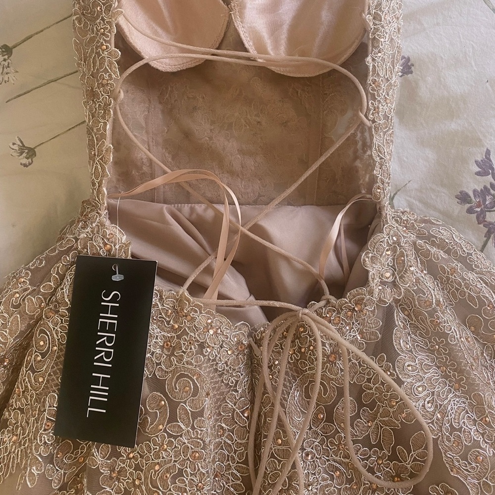 Sherri Hill Prom/Grad dress
